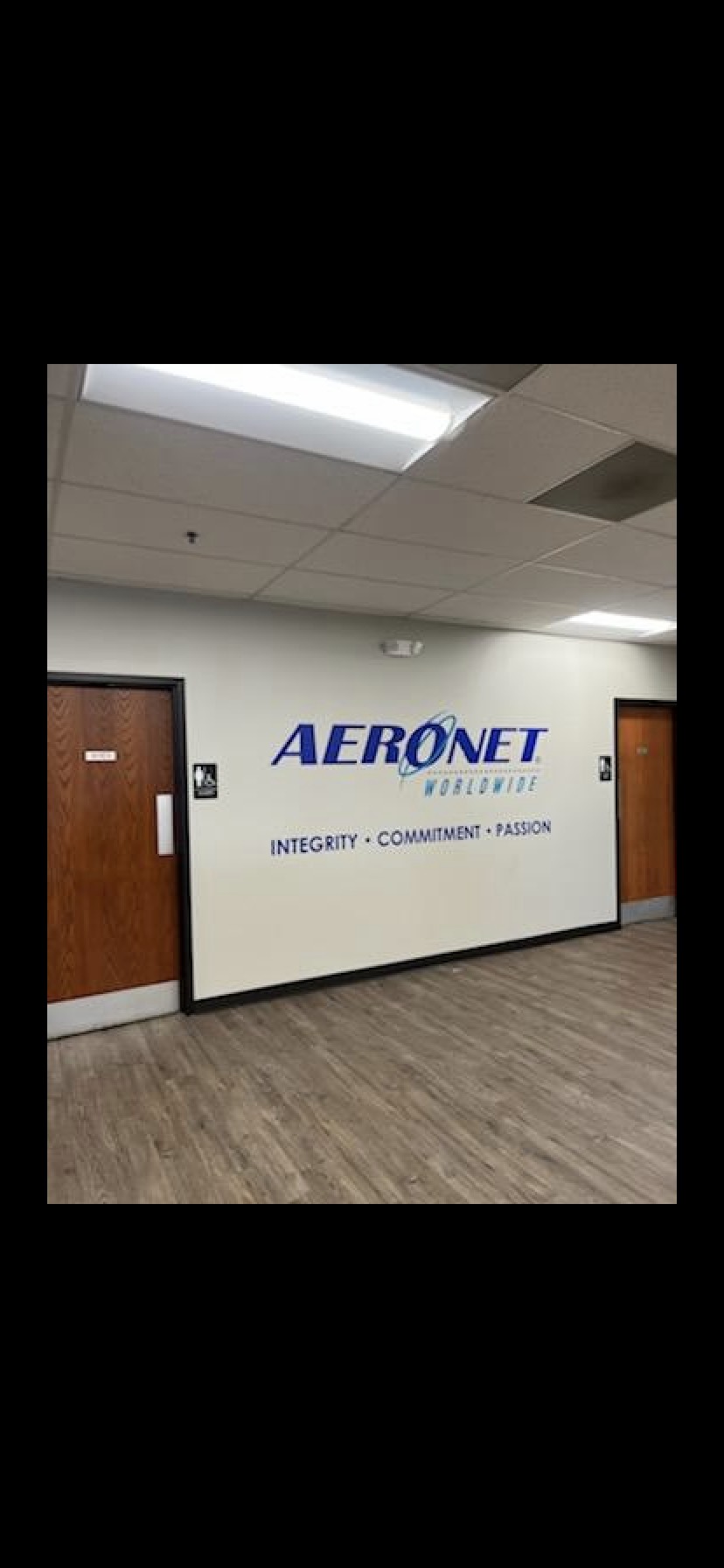 #wallgraphics